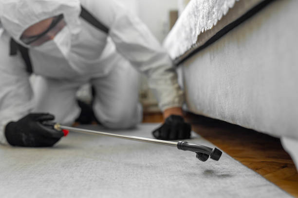Professional Bed Bug Control technician working in Malverne, NY